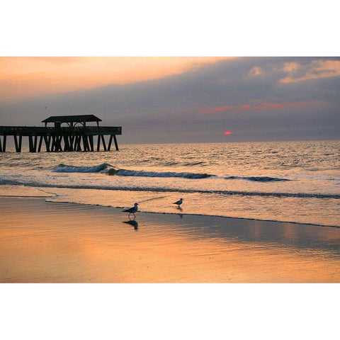 Sunrise on Tybee Island Beach-Georgia-USA Black Modern Wood Framed Art Print by Miller, Anna