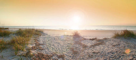Sunrise on Tybee Island Beach-Georgia-USA White Modern Wood Framed Art Print with Double Matting by Miller, Anna