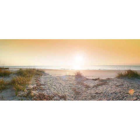 Sunrise on Tybee Island Beach-Georgia-USA Black Modern Wood Framed Art Print by Miller, Anna