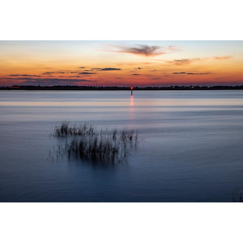 USA-Georgia-Jekyll Island-Sunset at Driftwood Beach and the petrified trees Black Modern Wood Framed Art Print by Looney, Hollice