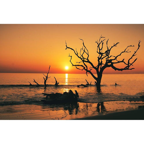 USA-Georgia-Jekyll Island-Sunrise on Driftwood Beach of petrified trees Gold Ornate Wood Framed Art Print with Double Matting by Looney, Hollice