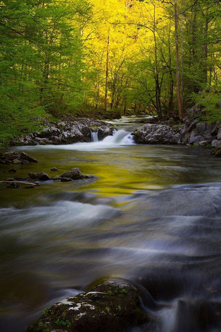 Tennessee Great Smoky Mountains National Park-Little River Black Ornate Wood Framed Art Print with Double Matting by Wells, Joanne