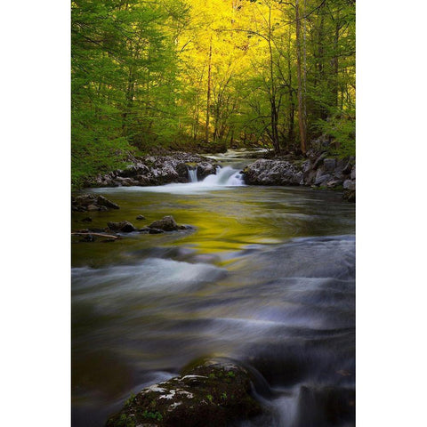 Tennessee Great Smoky Mountains National Park-Little River Gold Ornate Wood Framed Art Print with Double Matting by Wells, Joanne