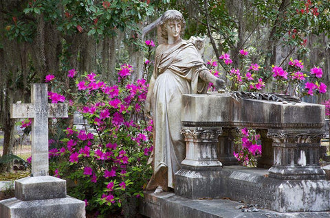 Georgia-Savannah-Bonaventure Cemetery in the spring with azaleas in bloom White Modern Wood Framed Art Print with Double Matting by Wells, Joanne