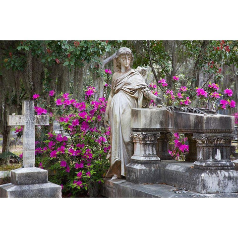 Georgia-Savannah-Bonaventure Cemetery in the spring with azaleas in bloom Gold Ornate Wood Framed Art Print with Double Matting by Wells, Joanne