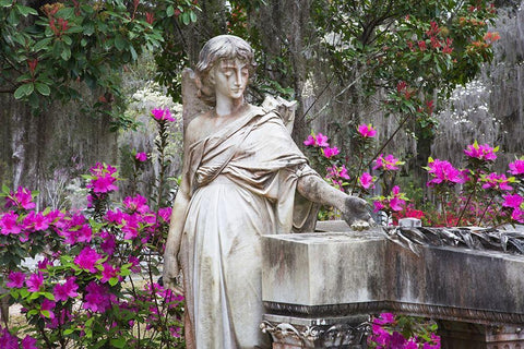 Georgia-Savannah-Bonaventure Cemetery in the spring with azaleas in bloom Black Ornate Wood Framed Art Print with Double Matting by Wells, Joanne