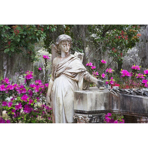 Georgia-Savannah-Bonaventure Cemetery in the spring with azaleas in bloom Gold Ornate Wood Framed Art Print with Double Matting by Wells, Joanne