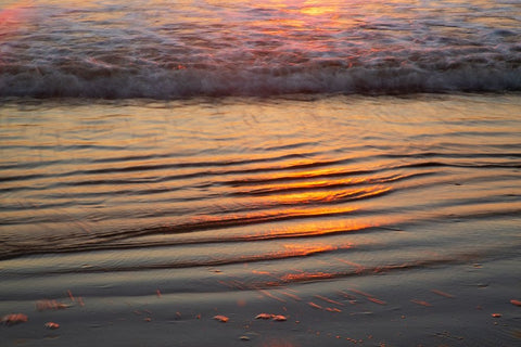 USA- Georgia- Tybee Island. Sunrise with ripples in the sand Black Ornate Wood Framed Art Print with Double Matting by Wells, Joanne