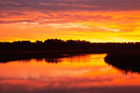 USA- Georgia- Savannah. Sunrise along Grimball Creek. Black Ornate Wood Framed Art Print with Double Matting by Wells, Joanne