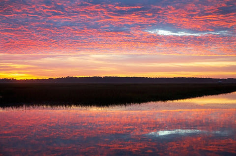 USA- Georgia- Savannah. Sunrise along Grimball Creek. Black Ornate Wood Framed Art Print with Double Matting by Wells, Joanne