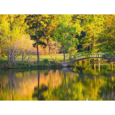 Georgia-Callaway gardens springtime Gold Ornate Wood Framed Art Print with Double Matting by Gulin, Sylvia