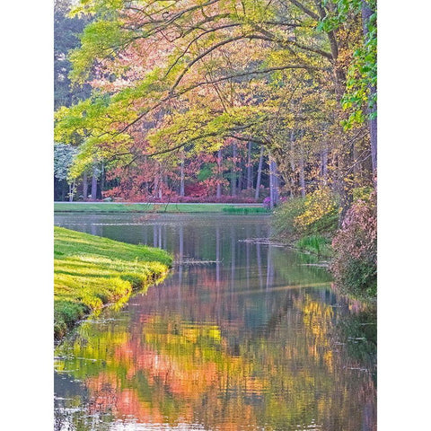 Georgia-Callaway gardens springtime White Modern Wood Framed Art Print by Gulin, Sylvia
