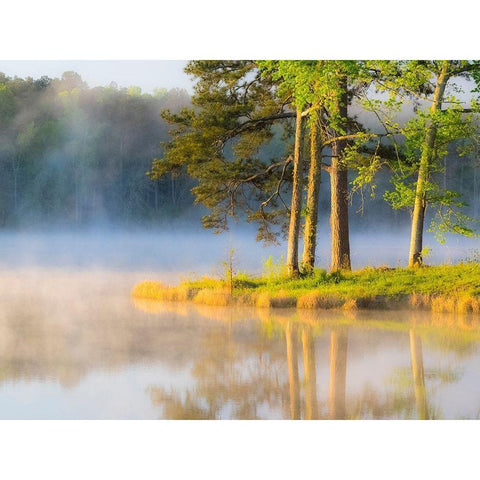 Georgia-Callaway gardens springtime Black Modern Wood Framed Art Print by Gulin, Sylvia