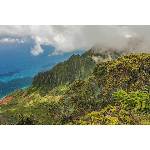 Napali coastline-Kauai-Hawaiian Islands, Black Modern Wood Framed Art Print by Jones, Adam