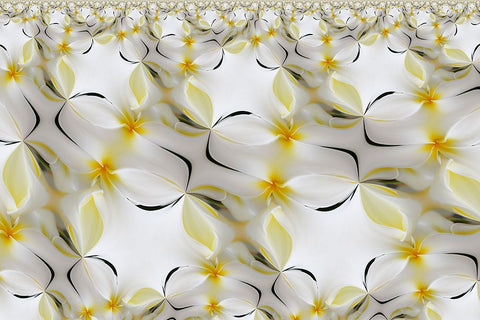 Plumerias a genus of flowering plants in the dogbane family-Maui-Hawaii White Modern Wood Framed Art Print with Double Matting by Jones, Adam