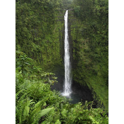 USA, Hawaii, Hilo View if Akaka Falls White Modern Wood Framed Art Print by Kaveney, Wendy