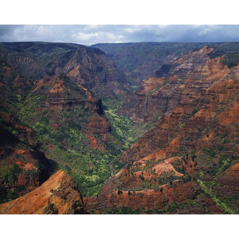 USA, Hawaii, Kauai Waimea Canyon overlook Black Modern Wood Framed Art Print with Double Matting by Flaherty, Dennis