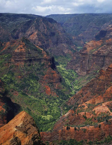 USA, Hawaii, Kauai Waimea Canyon overlook White Modern Wood Framed Art Print with Double Matting by Flaherty, Dennis