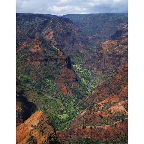 USA, Hawaii, Kauai Waimea Canyon overlook Gold Ornate Wood Framed Art Print with Double Matting by Flaherty, Dennis