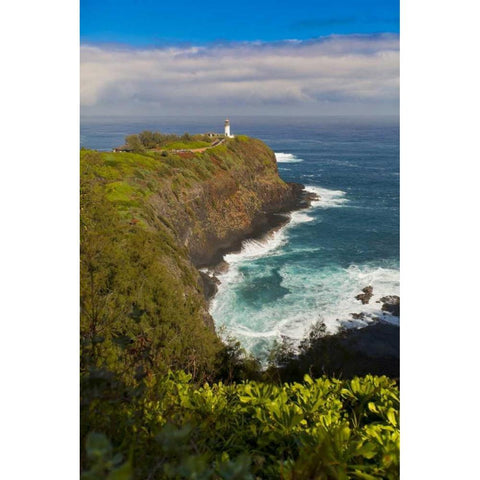 HI, Kauai Kilauea Lighthouse Black Modern Wood Framed Art Print by Lord, Fred