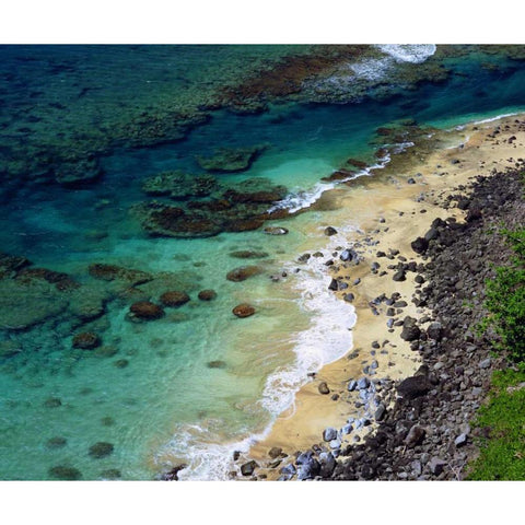 Hawaii, Kauai A coral reef on the Na Pali coast Black Modern Wood Framed Art Print by Talbot Frank, Christopher