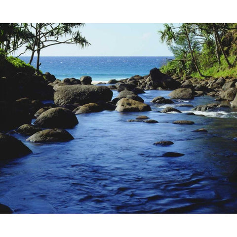 HI, Kauai Stream on the Na Pali coast Black Modern Wood Framed Art Print by Talbot Frank, Christopher