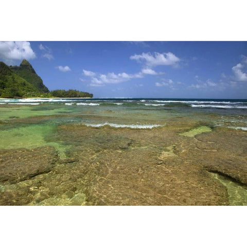 Hawaii, Kauai Coral formations on Tunnels Beach Gold Ornate Wood Framed Art Print with Double Matting by Flaherty, Dennis