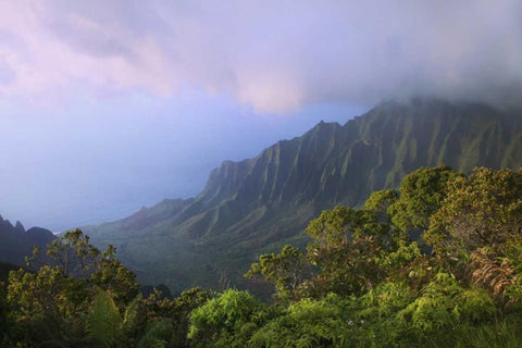 Hawaii, Kauai Kalalau Overlook of Na Pali Coast Black Ornate Wood Framed Art Print with Double Matting by Flaherty, Dennis