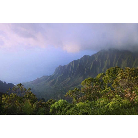 Hawaii, Kauai Kalalau Overlook of Na Pali Coast Black Modern Wood Framed Art Print with Double Matting by Flaherty, Dennis