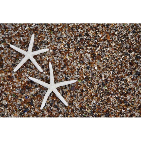 Hawaii, Kauai Starfish skeletons on Glass Beach Gold Ornate Wood Framed Art Print with Double Matting by Flaherty, Dennis