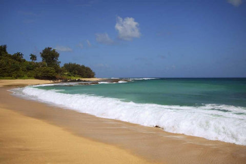 USA, Hawaii, Kauai Wave breaks on deserted beach Black Ornate Wood Framed Art Print with Double Matting by Flaherty, Dennis