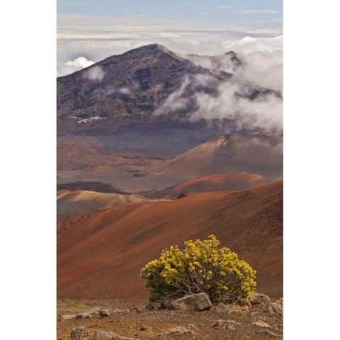 Hawaii, Maui, Haleakala NP Mountain Scenic Black Modern Wood Framed Art Print by Illg, Cathy and Gordon