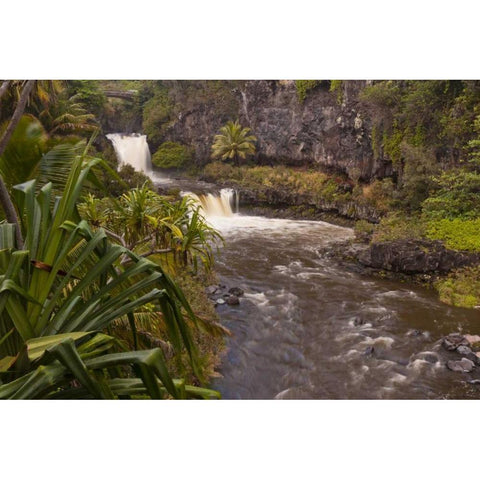 HI, Maui, Haleakala NP, Seven Sacred Pools Black Modern Wood Framed Art Print by Illg, Cathy and Gordon