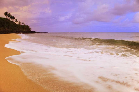 USA, Hawaii, Kauai Morning on Secret Beach Black Ornate Wood Framed Art Print with Double Matting by Flaherty, Dennis
