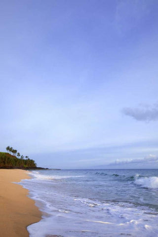 USA, Hawaii, Kauai Scenic of Secret Beach Black Ornate Wood Framed Art Print with Double Matting by Flaherty, Dennis