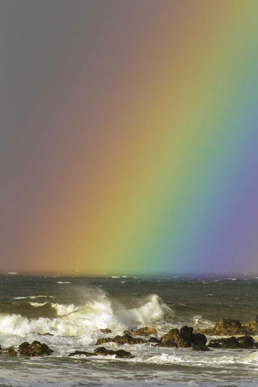 Image Only