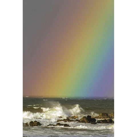 Hawaii, Maui, Hookipa Beach Rainbow and waves Black Modern Wood Framed Art Print by Illg, Cathy and Gordon