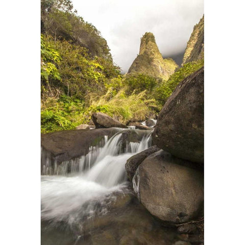 HI, Maui, West Maui Mts Iao Needle and stream Gold Ornate Wood Framed Art Print with Double Matting by Illg, Cathy and Gordon