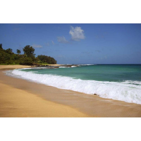 USA, Hawaii, Kauai Scenic of Secret Beach Black Modern Wood Framed Art Print with Double Matting by Flaherty, Dennis