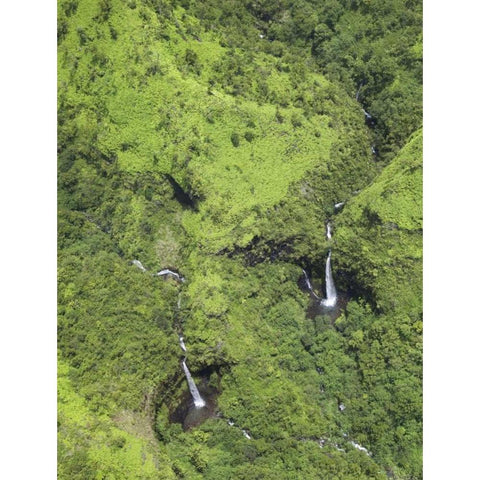 USA, Hawaii, Kauai Aerial view of waterfalls Gold Ornate Wood Framed Art Print with Double Matting by Flaherty, Dennis