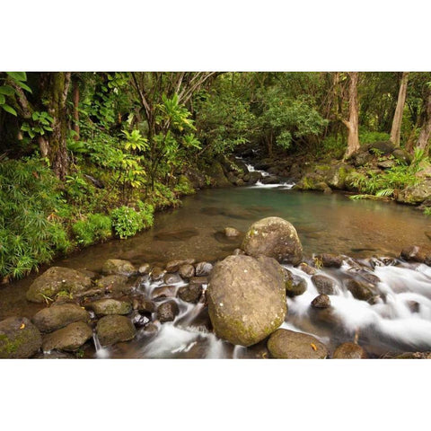 Hawaii, Kauai Creek flowing from a rainforest White Modern Wood Framed Art Print by Flaherty, Dennis