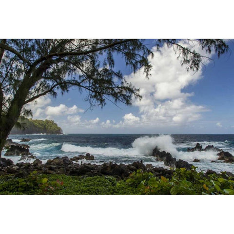 HI, Big Island Wave crashing on shore rocks Black Modern Wood Framed Art Print by Illg, Cathy and Gordon