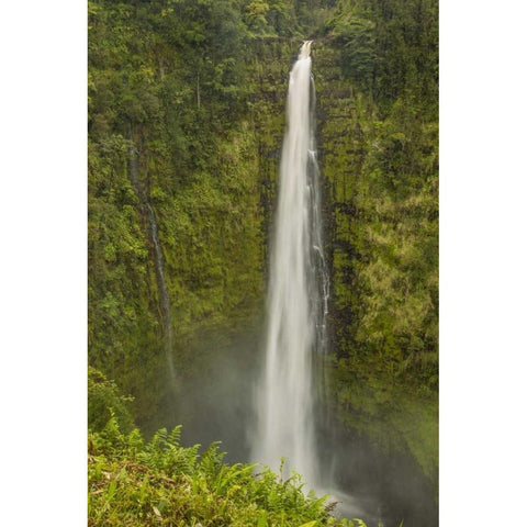 HI, Big Island, Akaka Falls SP, Akaka Falls Black Modern Wood Framed Art Print by Illg, Cathy and Gordon
