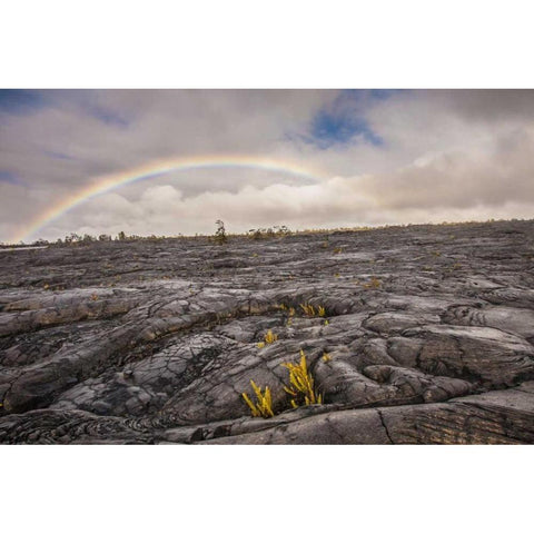 HI, Big Island Rainbow over old hardened lava White Modern Wood Framed Art Print by Illg, Cathy and Gordon