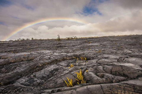 HI, Big Island Rainbow over old hardened lava White Modern Wood Framed Art Print with Double Matting by Illg, Cathy and Gordon