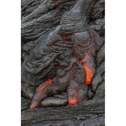 Hawaii, Kilauea Molten lava hardening Gold Ornate Wood Framed Art Print with Double Matting by Illg, Cathy and Gordon