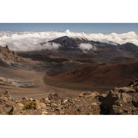 Hawaii, Maui, Haleakala NP Overview of park Black Modern Wood Framed Art Print by Illg, Cathy and Gordon