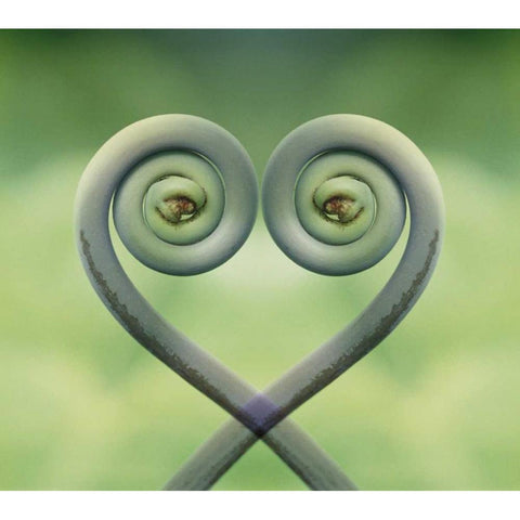 Hawaii Frond montage at Akaka Falls State Park Gold Ornate Wood Framed Art Print with Double Matting by Bush, Marie