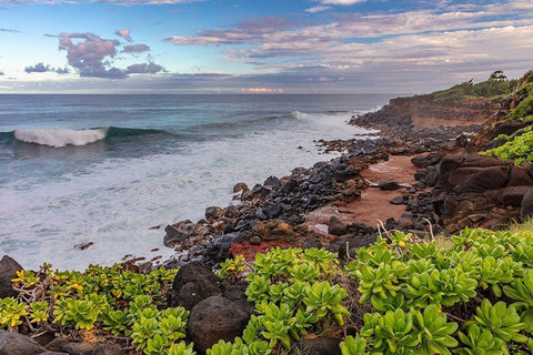 Paliku aka Donkey Beach in Kealia in Kauai-Hawaii-USA White Modern Wood Framed Art Print with Double Matting by Haney, Chuck