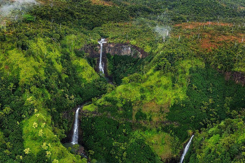 Lush Inland waterfalls during helicopter tour in Kauai-Hawaii-USA Black Ornate Wood Framed Art Print with Double Matting by Haney, Chuck